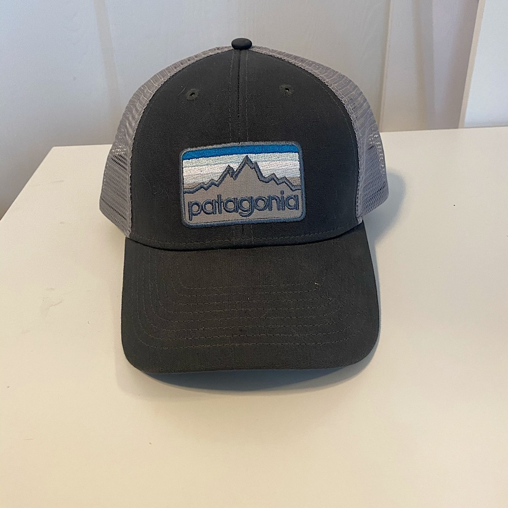 Patagonia Trucker Hat
